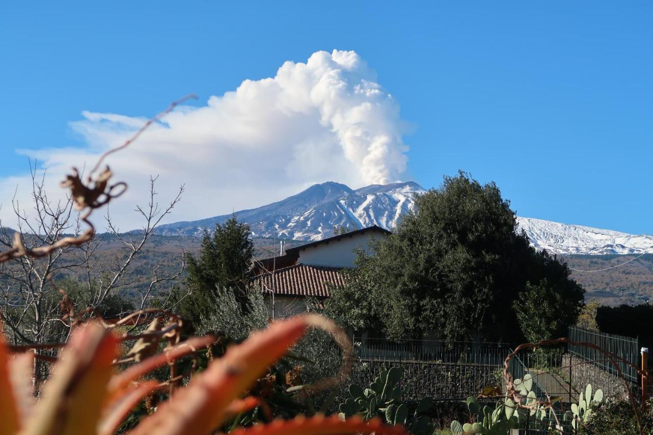 Agriturismo Etna-Mare Piedimonte Etneo Exterior photo
